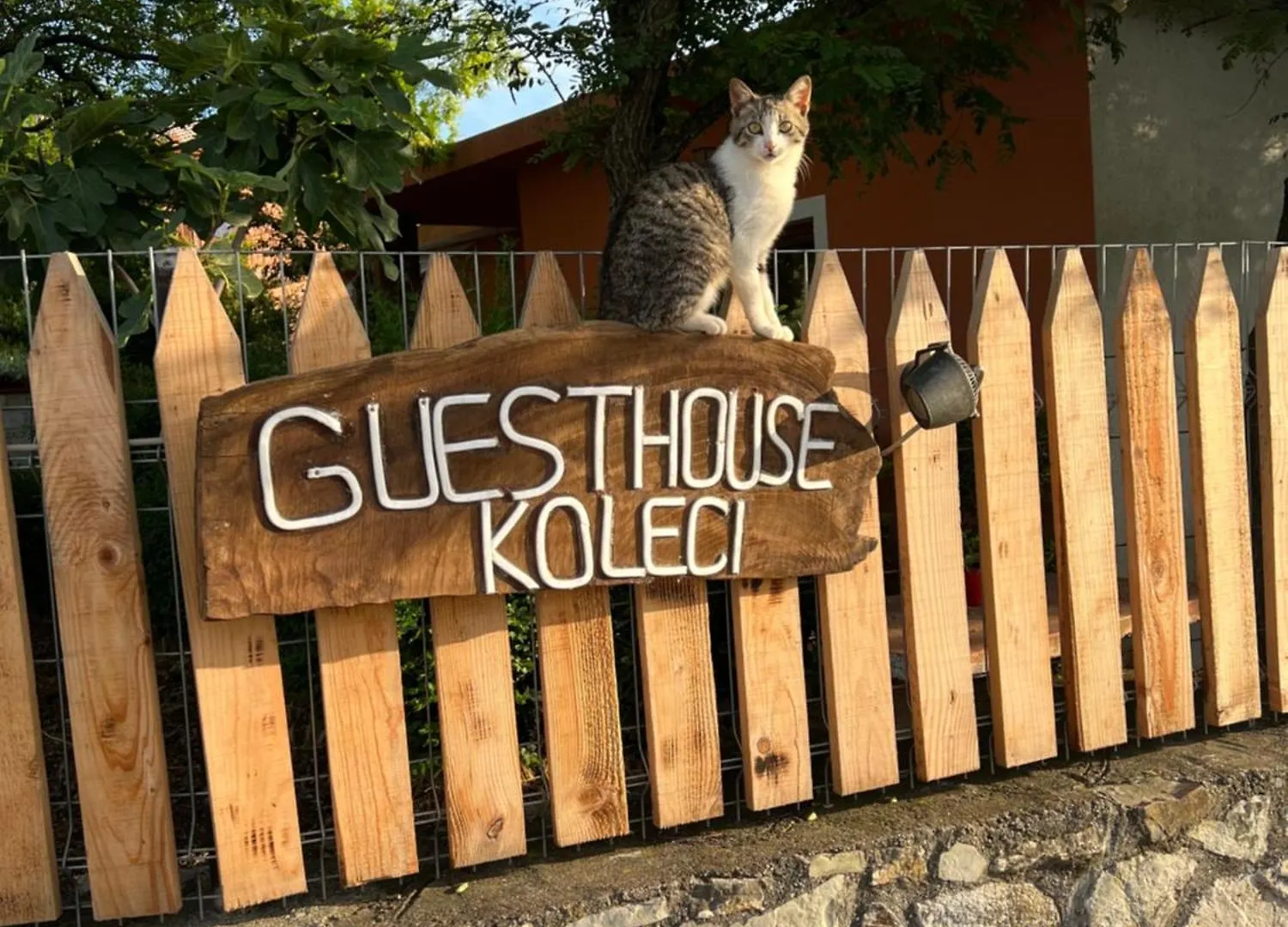 Guesthouse Koleci - Mrizi I Zanave Fishte 0*,  Albania